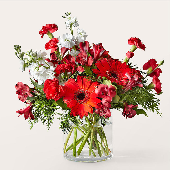 Holidaisy Bouquet – BUEHLER'S FLORAL, Wooster OH