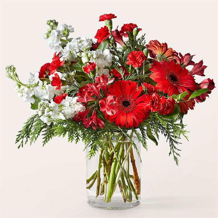 Holidaisy Bouquet – BUEHLER'S FLORAL, Wooster OH