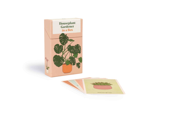 Houseplant Gardener in a Box | The Plant Boys