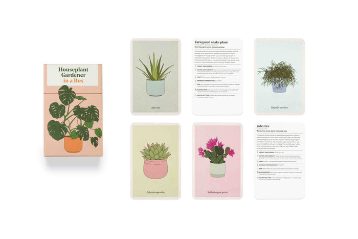 Houseplant Gardener in a Box | The Plant Boys