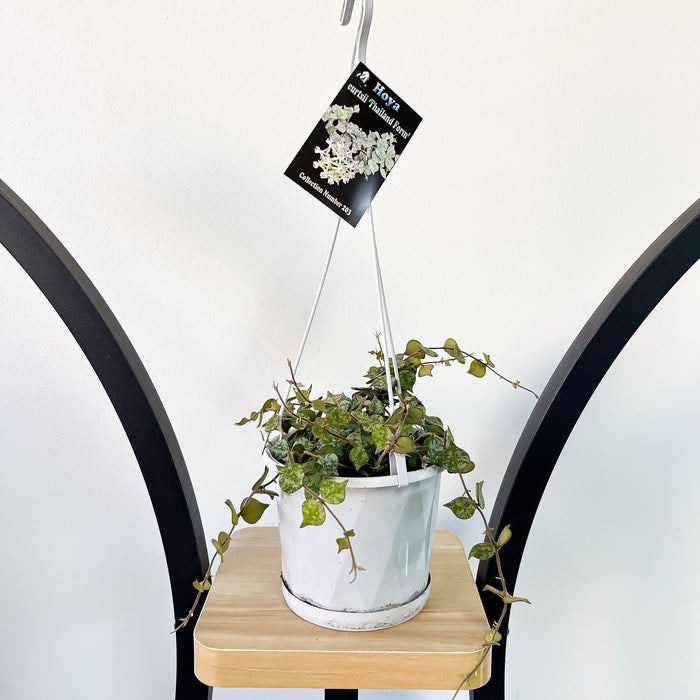 130mm Hanging Basket