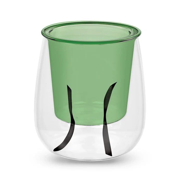 Large Glass Self-Watering Pot