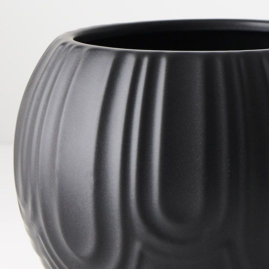 Laurela Pot | The Plant Boys