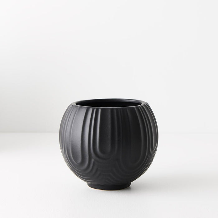 Laurela Pot | The Plant Boys