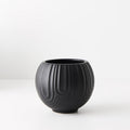 Laurela Pot | The Plant Boys