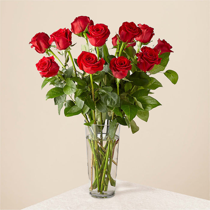 Long Stem Red Rose Bouquet – BUEHLER'S FLORAL, Wooster OH