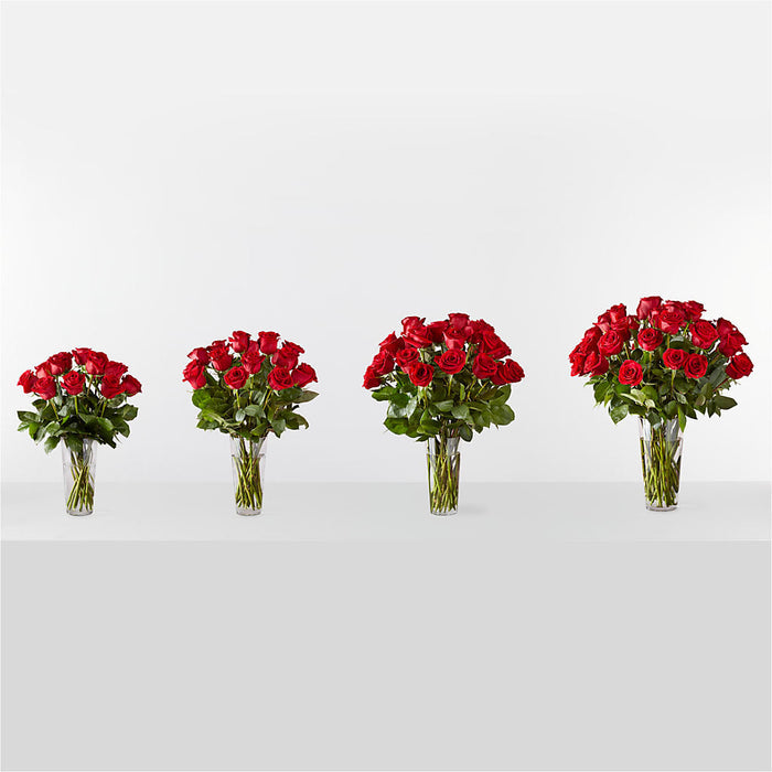 Long Stem Red Rose Bouquet – BUEHLER'S FLORAL, Wooster OH