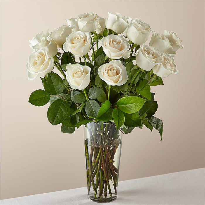 Long Stem White Rose Bouquet – BUEHLER'S FLORAL, Wooster OH