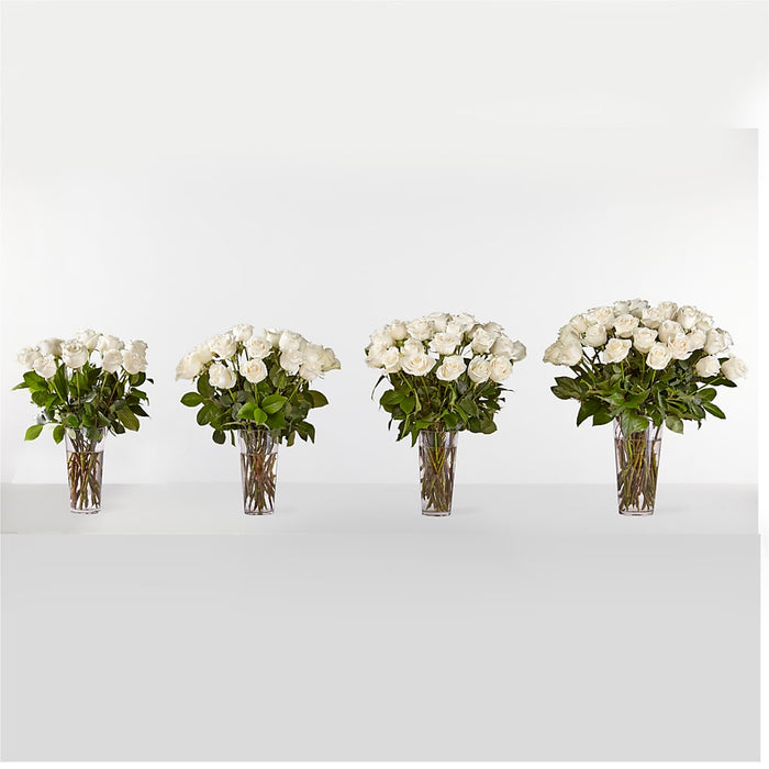 Long Stem White Rose Bouquet – BUEHLER'S FLORAL, Wooster OH