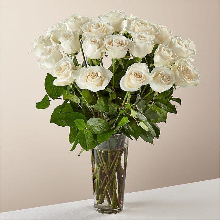 Long Stem White Rose Bouquet – BUEHLER'S FLORAL, Wooster OH