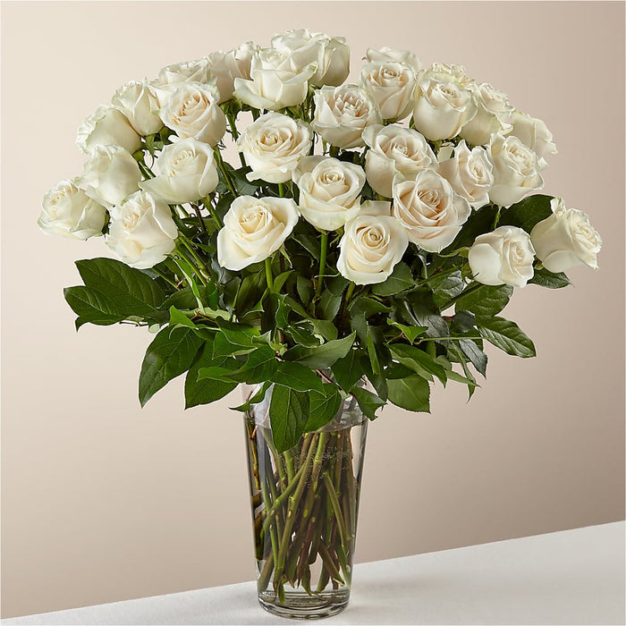 Long Stem White Rose Bouquet – BUEHLER'S FLORAL, Wooster OH