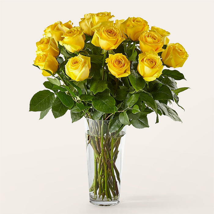 Long Stem Yellow Rose Bouquet – BUEHLER'S FLORAL, Wooster OH