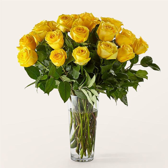 Long Stem Yellow Rose Bouquet – BUEHLER'S FLORAL, Wooster OH