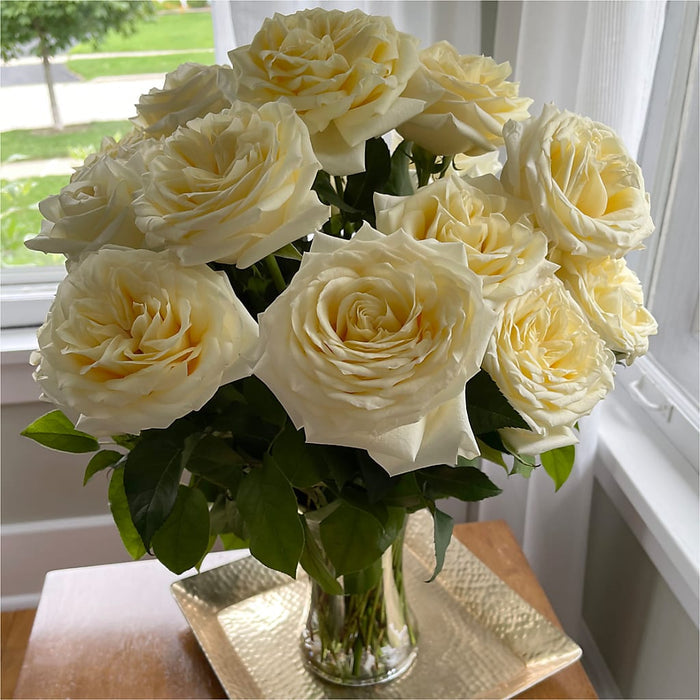 Long Stem Yellow Rose Bouquet – BUEHLER'S FLORAL, Wooster OH