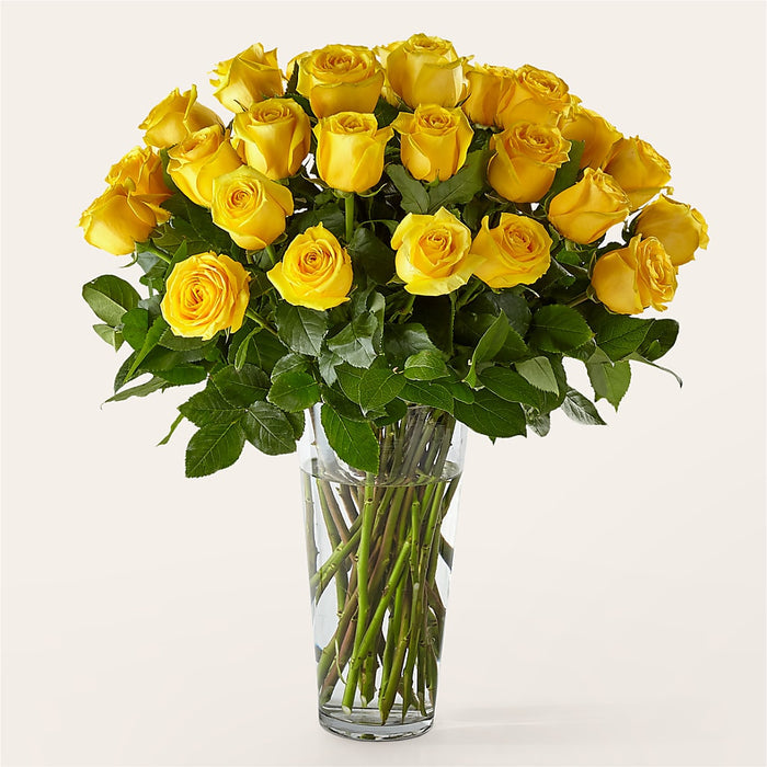 Exquisite - 36 Yellow Roses