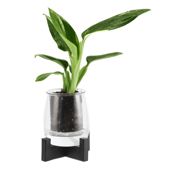 Metal Stand for Mini Glass Self - Watering Pot | The Plant Boys