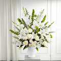 Morning Stars Arrangement – BUEHLER'S FLORAL, Wooster OH
