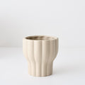 Naku Pot | The Plant Boys