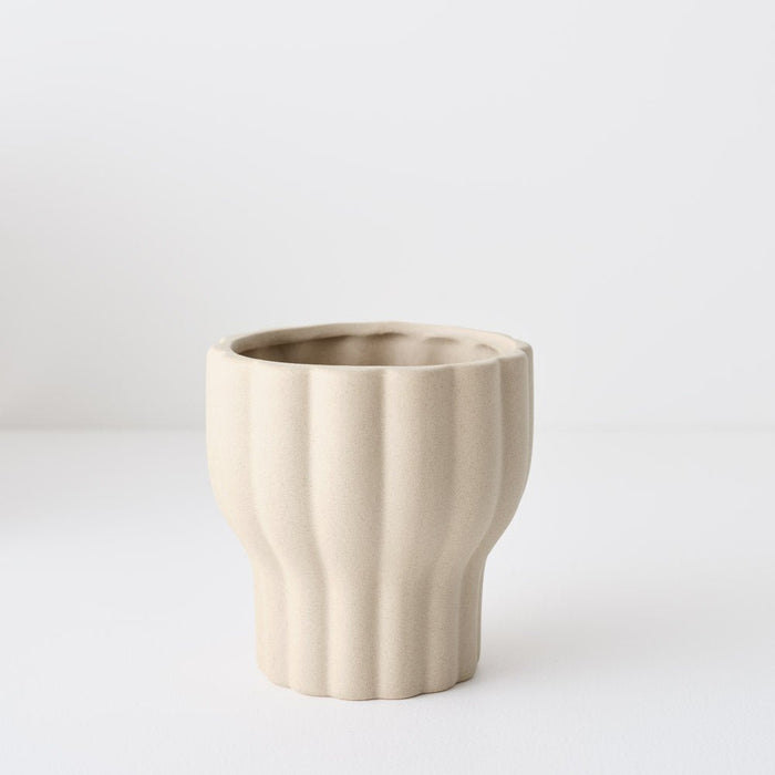 Naku Pot | The Plant Boys