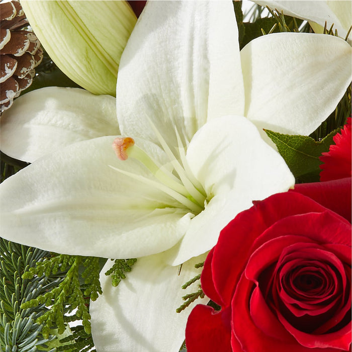 Oh So Jolly Bouquet – BUEHLER'S FLORAL, Wooster OH