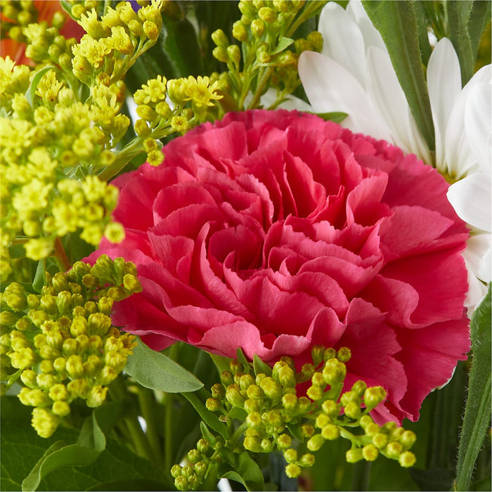 Oopsie Daisy Bouquet – BUEHLER'S FLORAL, Wooster OH