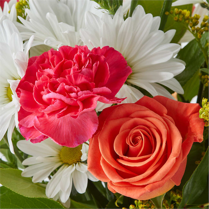 Oopsie Daisy Bouquet – BUEHLER'S FLORAL, Wooster OH