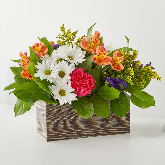 Oopsie Daisy Box Bouquet – BUEHLER'S FLORAL, Wooster OH