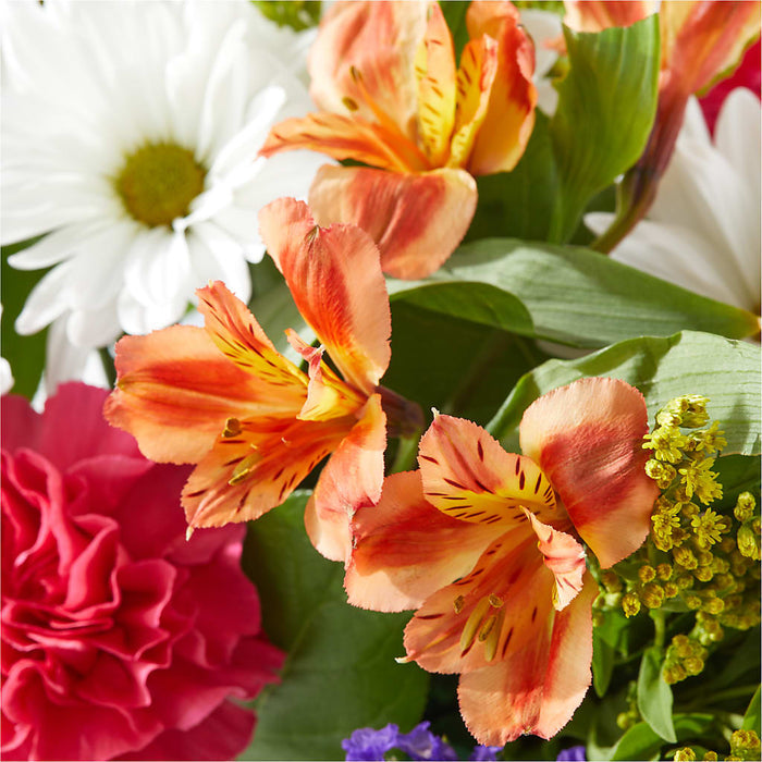 Oopsie Daisy Box Bouquet – BUEHLER'S FLORAL, Wooster OH