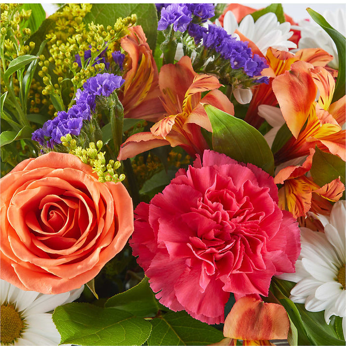 Oopsie Daisy Box Bouquet – BUEHLER'S FLORAL, Wooster OH
