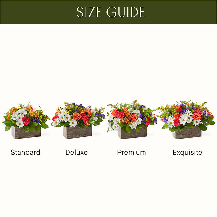 Oopsie Daisy Box Bouquet – BUEHLER'S FLORAL, Wooster OH