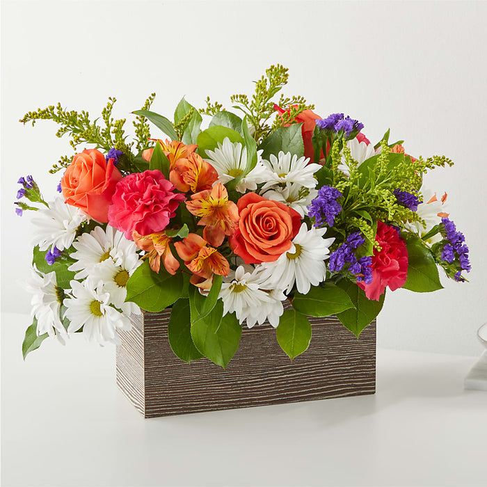 Oopsie Daisy Box Bouquet – BUEHLER'S FLORAL, Wooster OH