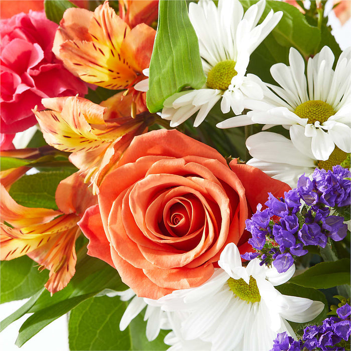 Oopsie Daisy Box Bouquet – BUEHLER'S FLORAL, Wooster OH
