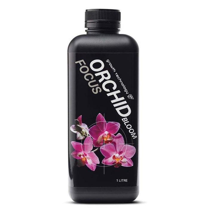 Orchid Focus Bloom | The Plant Boys