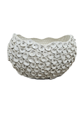 Oyster Bowl-small