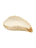 Oyster Shell Vanity Tray