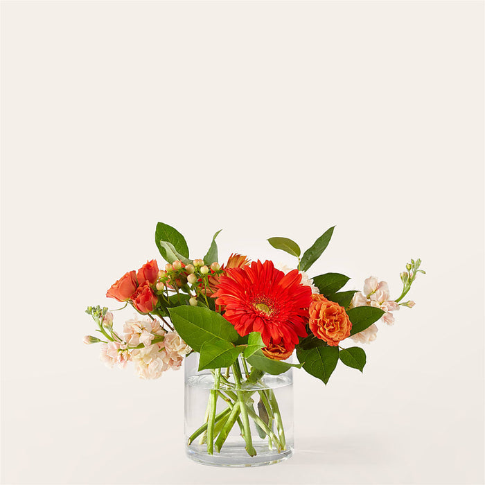 Paloma Please Bouquet – BUEHLER'S FLORAL, Wooster OH