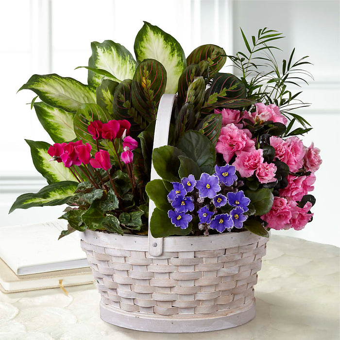 Peaceful Garden Planter – BUEHLER'S FLORAL, Wooster OH