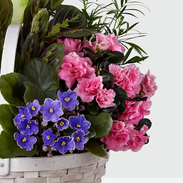 Peaceful Garden Planter – BUEHLER'S FLORAL, Wooster OH
