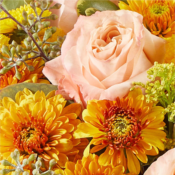 Peachy Pumpkin – BUEHLER'S FLORAL, Wooster OH