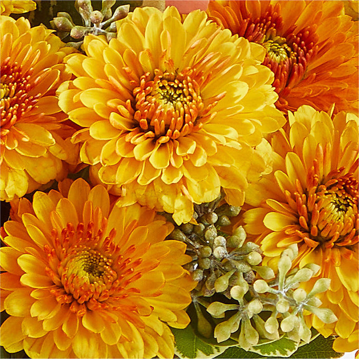 Peachy Pumpkin – BUEHLER'S FLORAL, Wooster OH