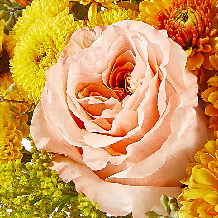 Peachy Pumpkin – BUEHLER'S FLORAL, Wooster OH