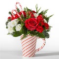 Peppermint Swirl Mug – BUEHLER'S FLORAL, Wooster OH