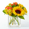 Picnic in the Park Bouquet – BUEHLER'S FLORAL, Wooster OH