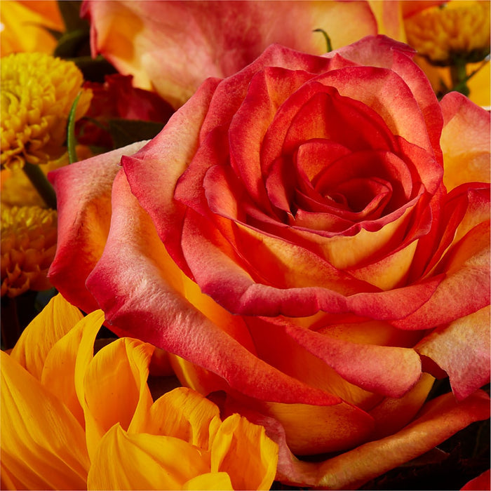 Picnic in the Park Bouquet – BUEHLER'S FLORAL, Wooster OH