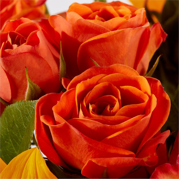 Picnic in the Park Bouquet – BUEHLER'S FLORAL, Wooster OH