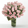 Pink Essence – BUEHLER'S FLORAL, Wooster OH