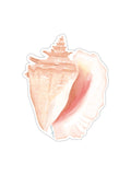Queen Conch Shell Sticker, Beach Sticker