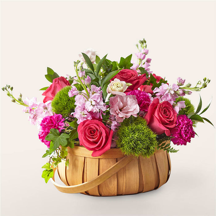 Radiance in Bloom Basket – BUEHLER'S FLORAL, Wooster OH