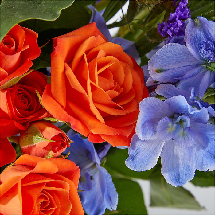 Radiant Citrus Bouquet – BUEHLER'S FLORAL, Wooster OH