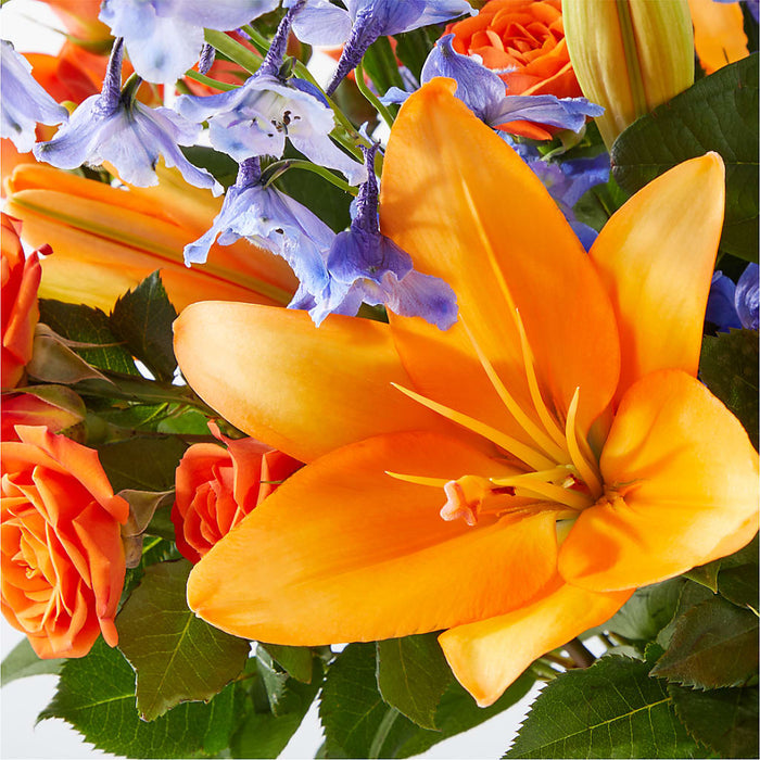 Radiant Citrus Bouquet – BUEHLER'S FLORAL, Wooster OH